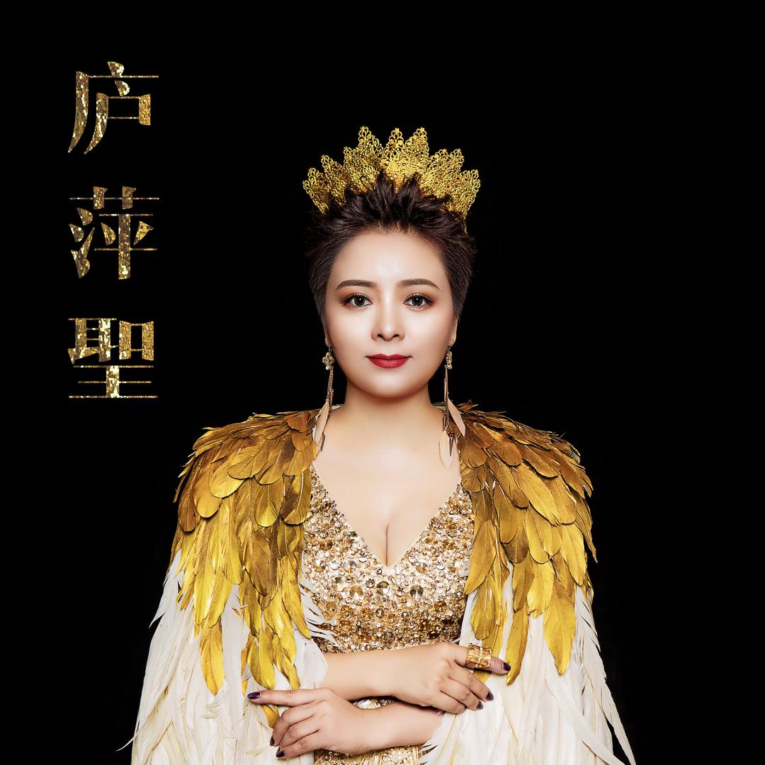 天津红桥区庐萍圣服装商行