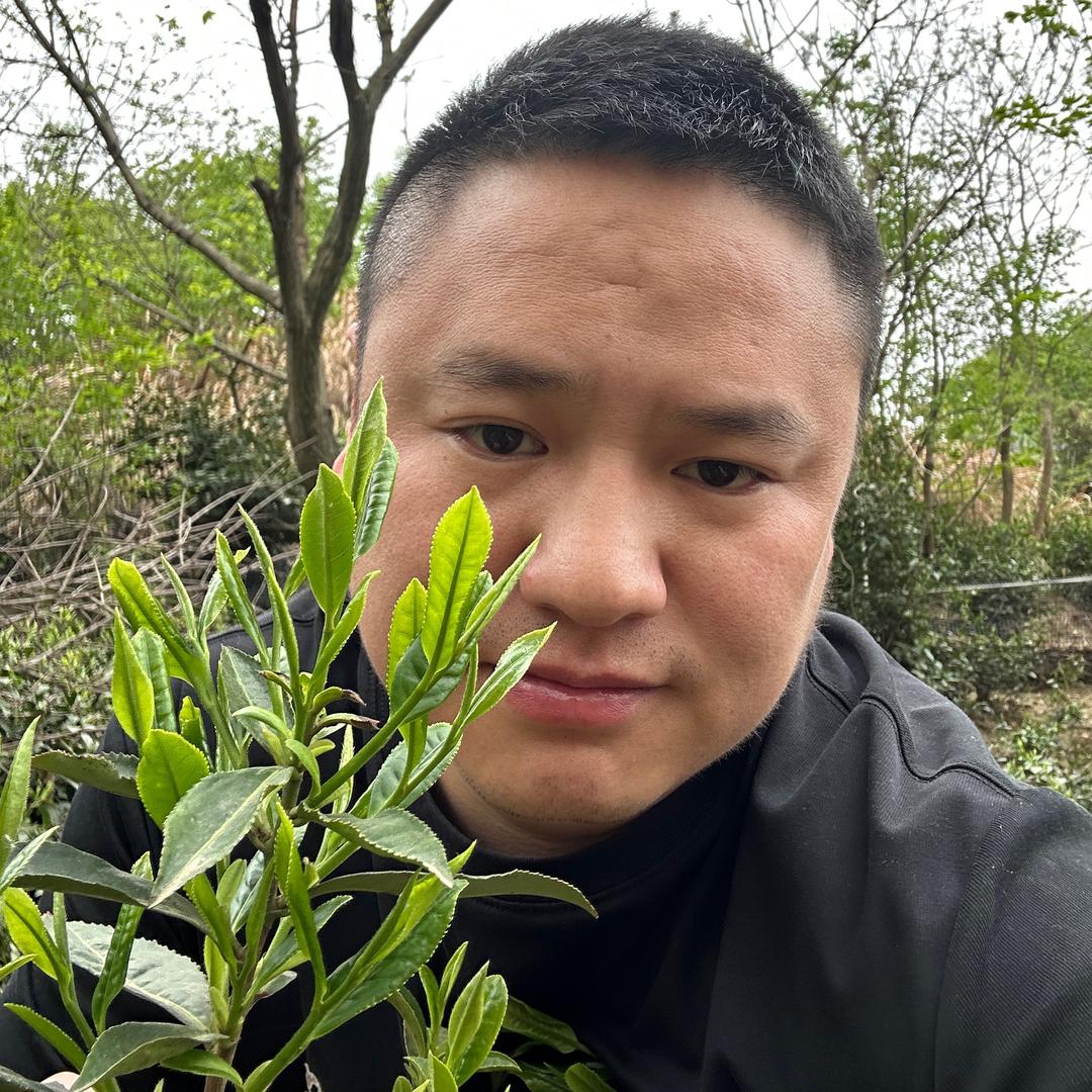 茶农张晓露