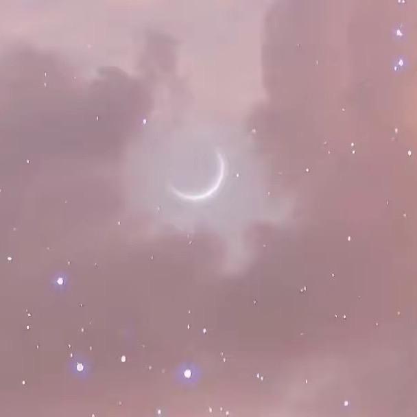 🌸。