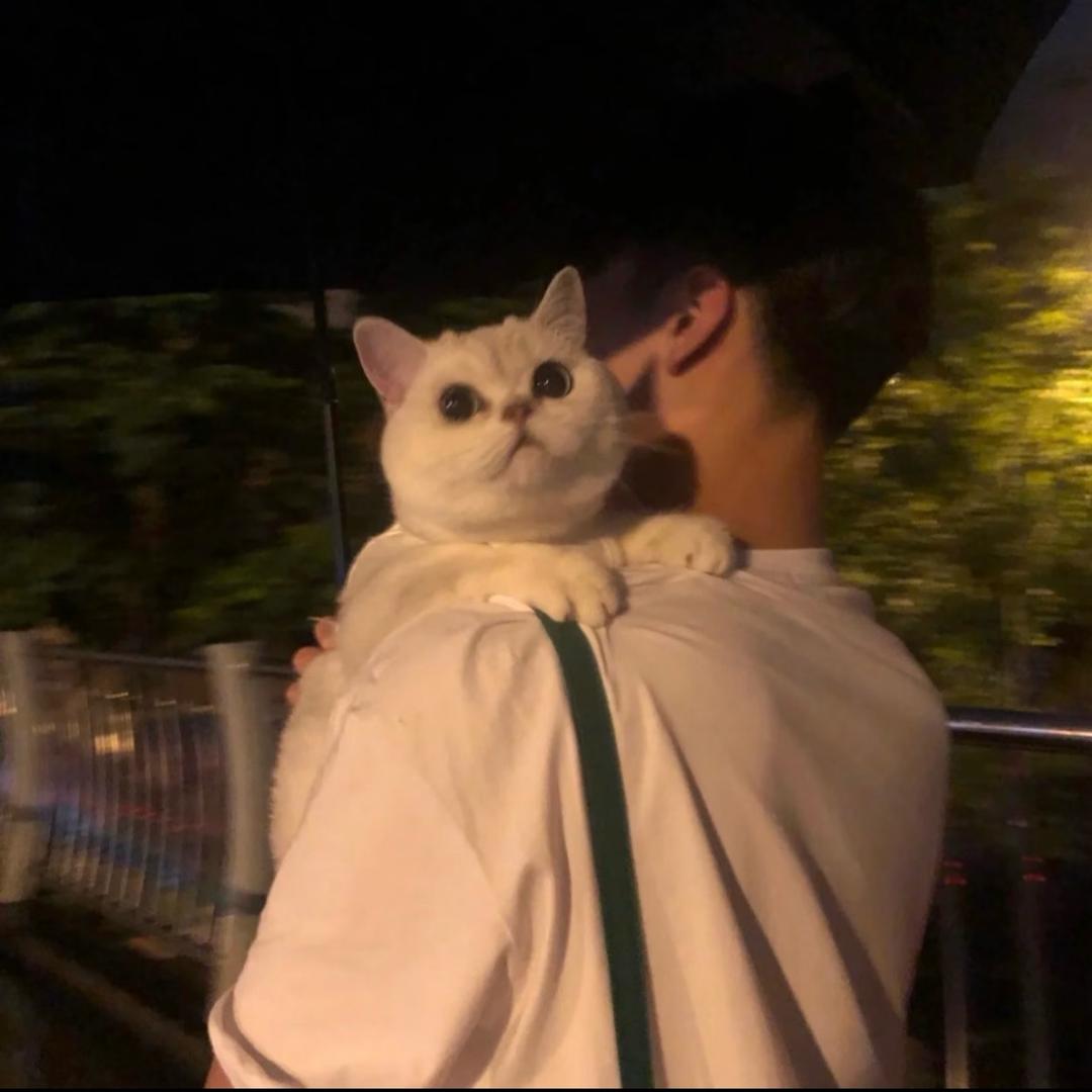 治宇