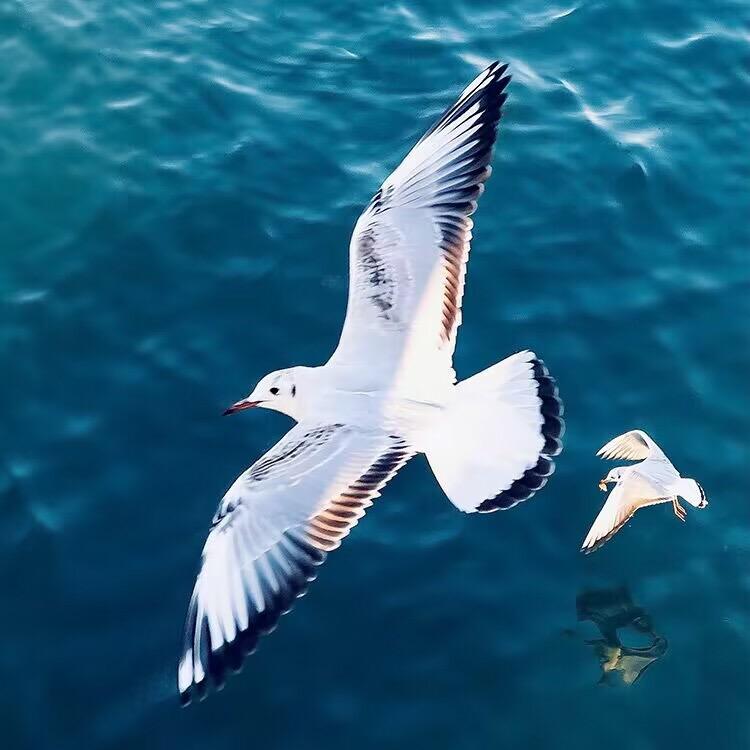 这就是青岛