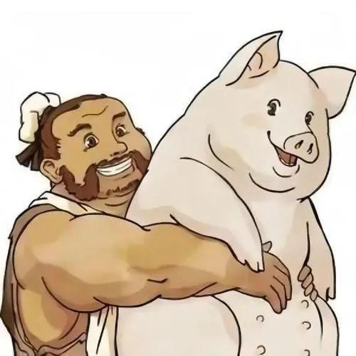 养了一头猪