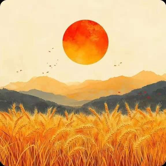 三门青合户外服饰精选店