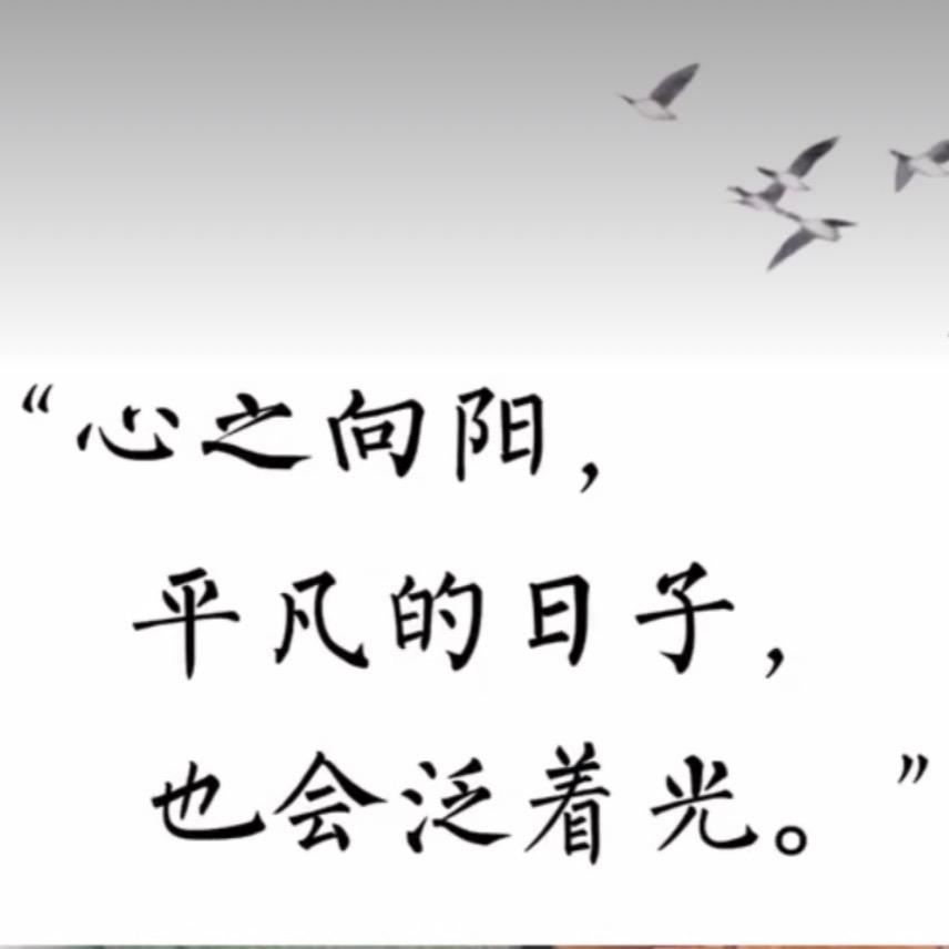 锦霖