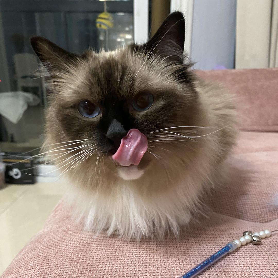 云开的云