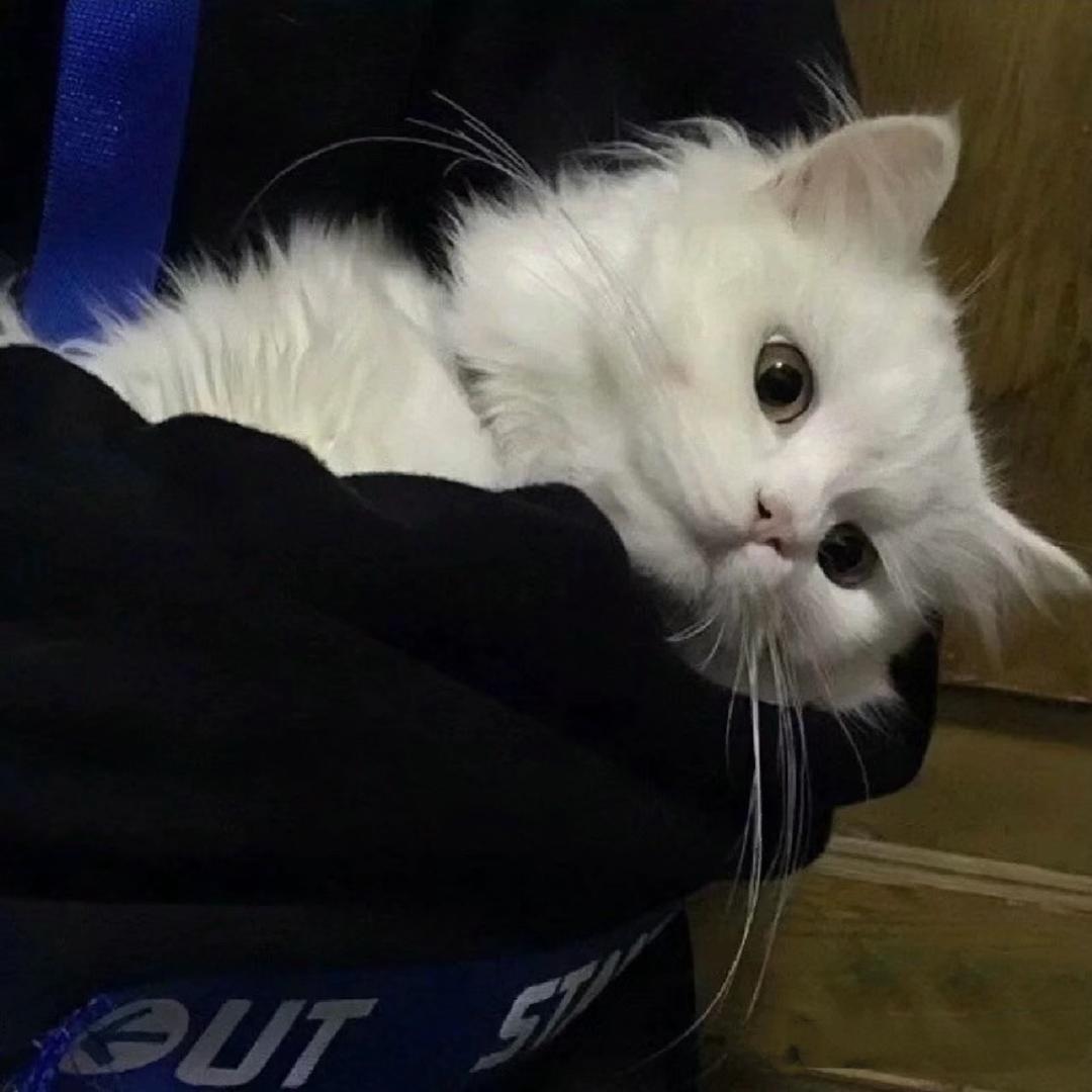 -12.
