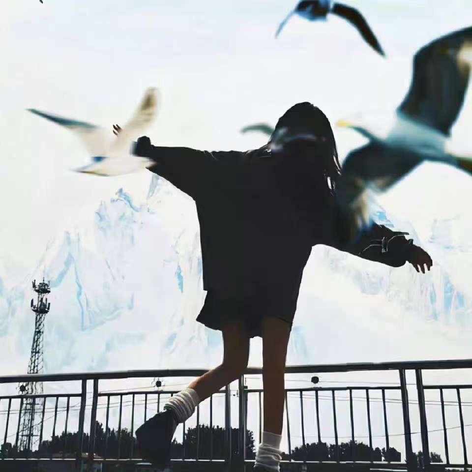 _雨阳阳阳