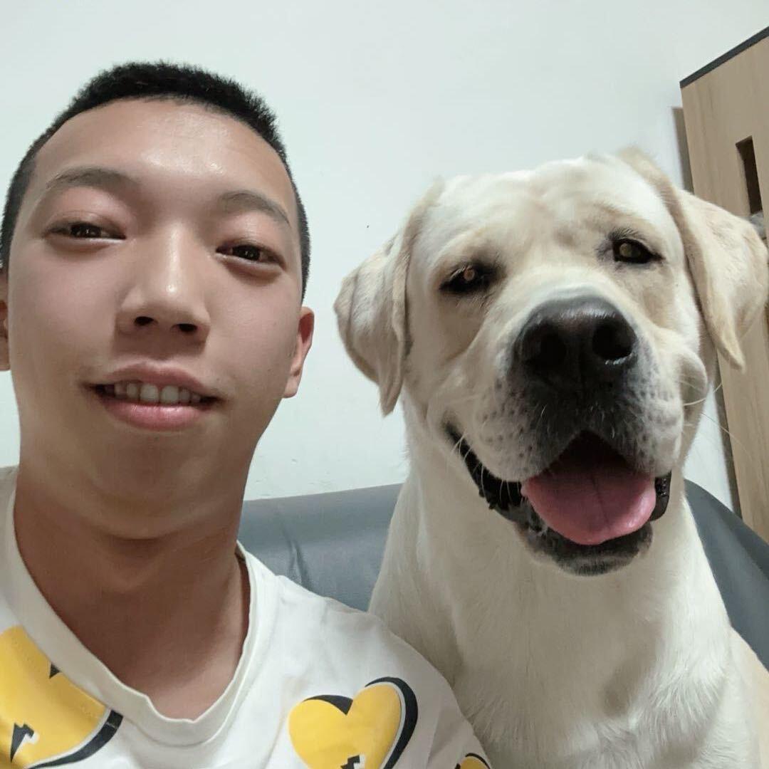 王哈哈的热高高🐶