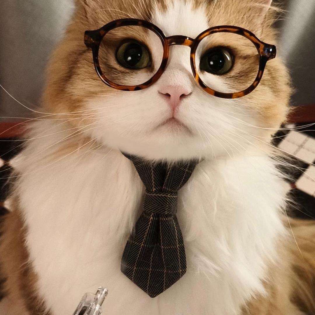 Fk的希望