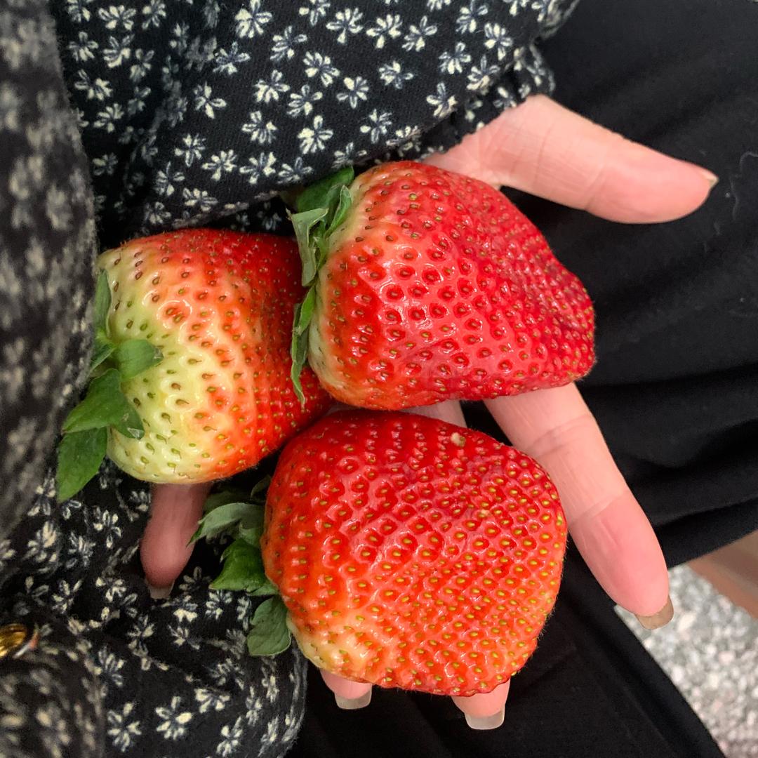 小李睡不着🍓