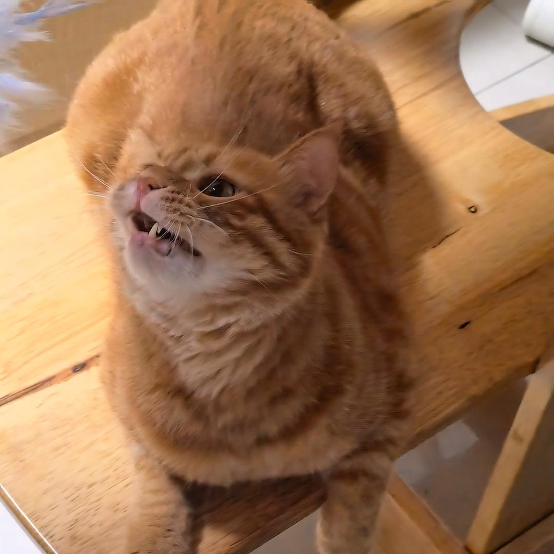 哈。