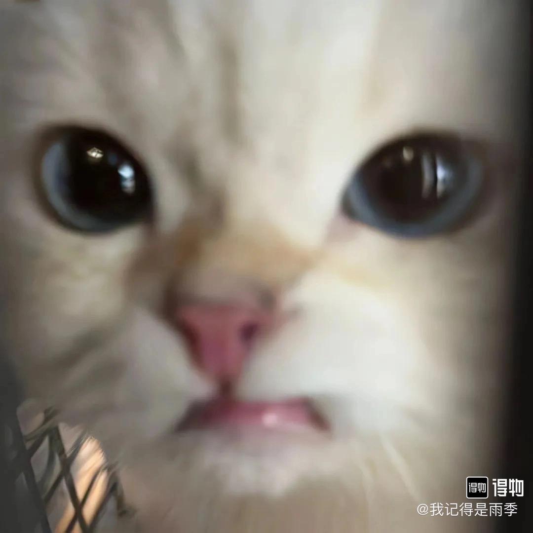 yyy