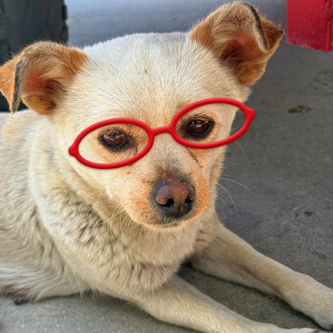 新清北驾校@天后教练