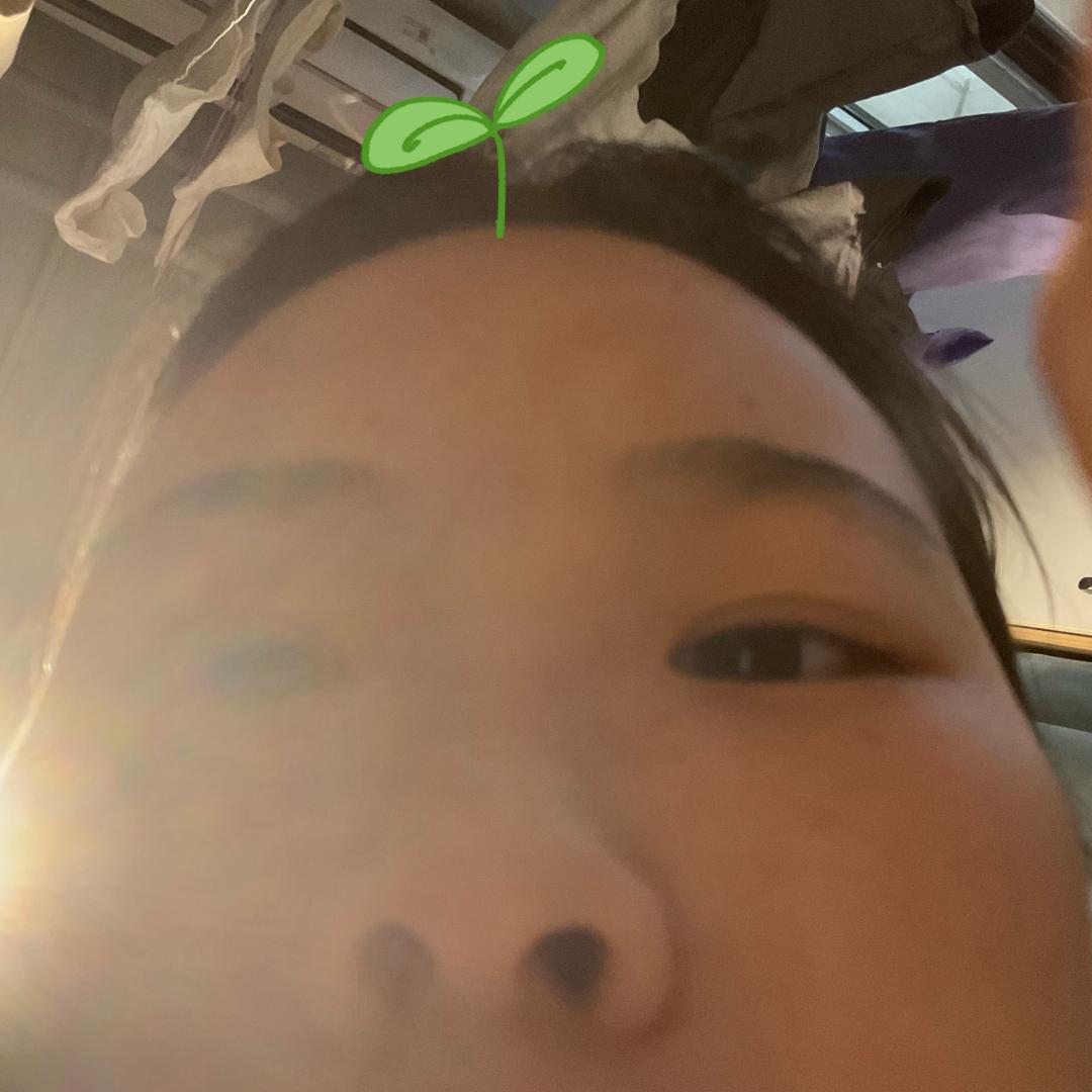 猫咪