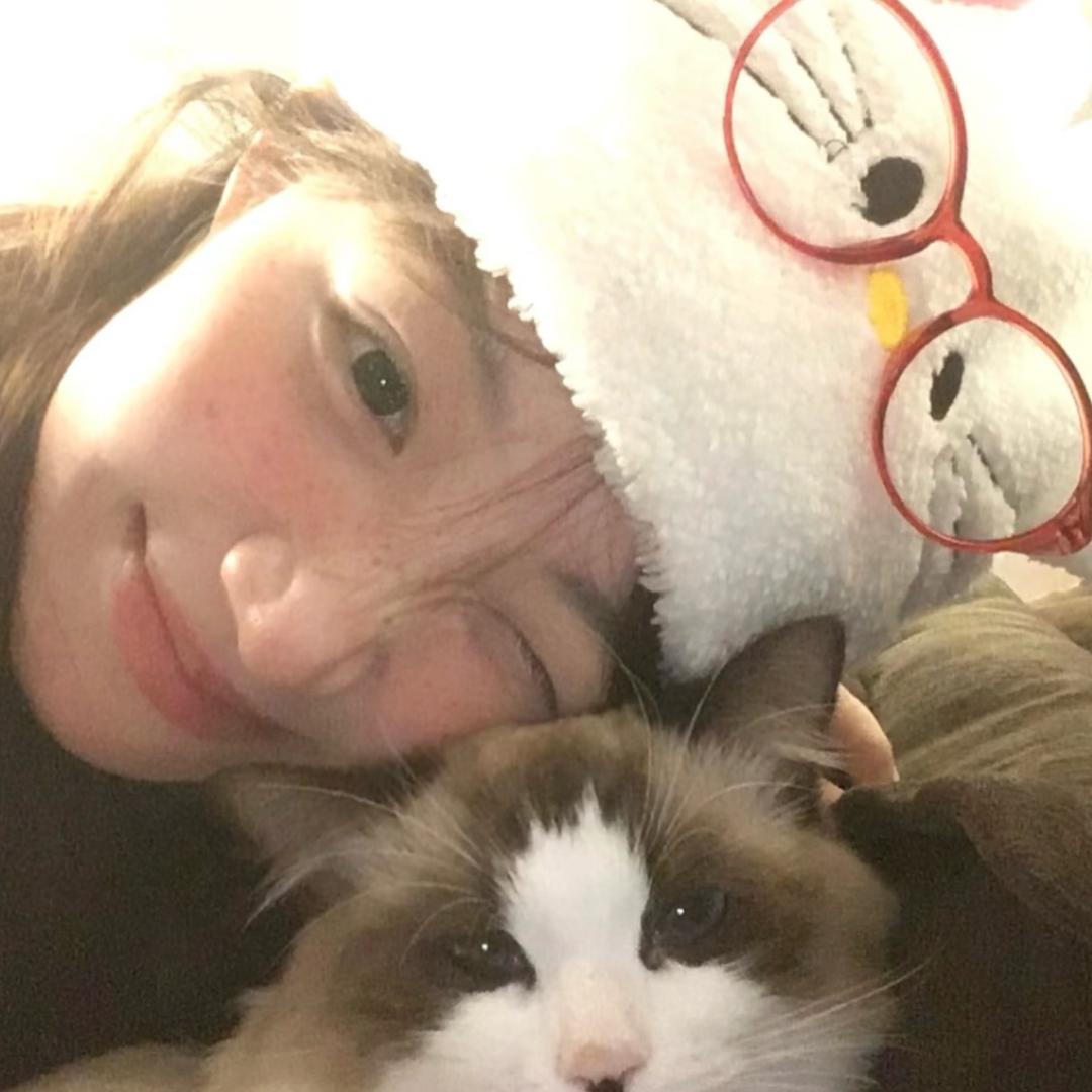 超何🕊️