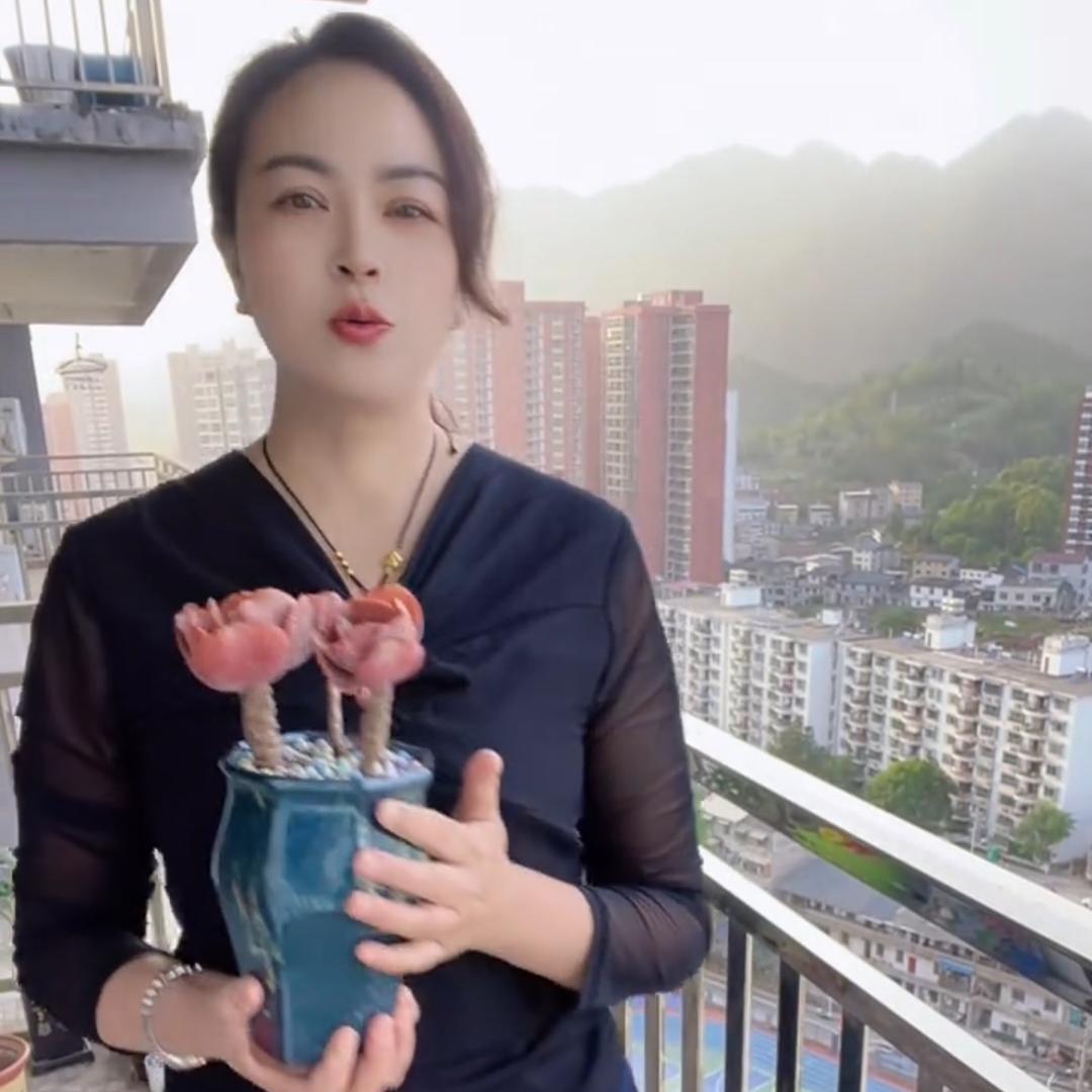 艳丽