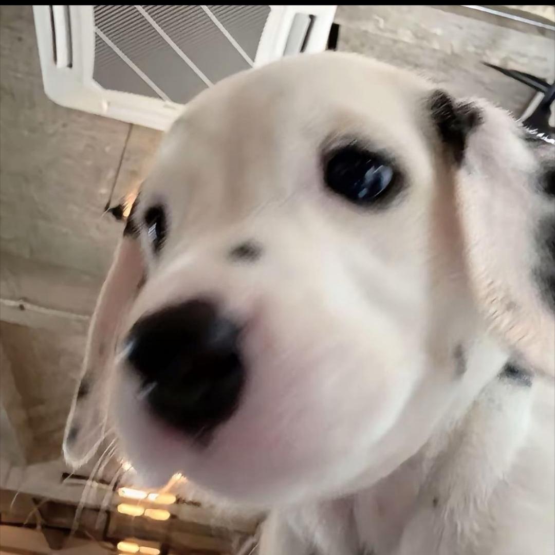 铎7