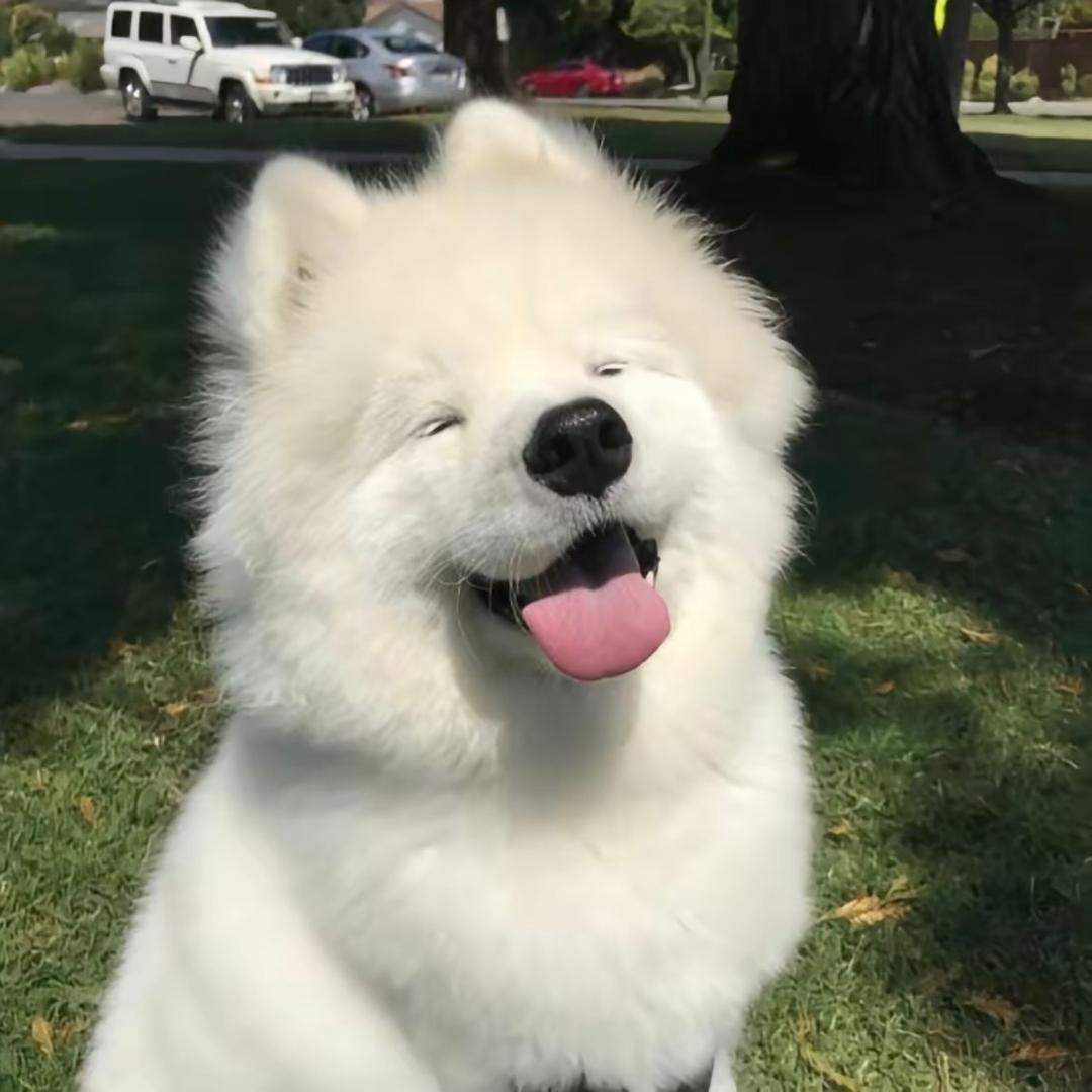 泷
