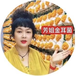 四川遂宁金耳菌芳姐
