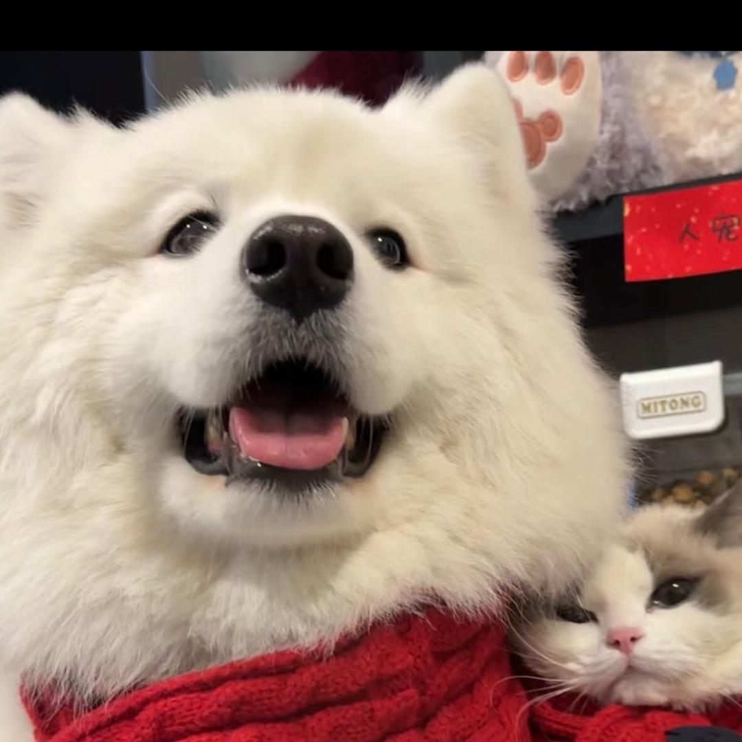 当岁月褪去年华