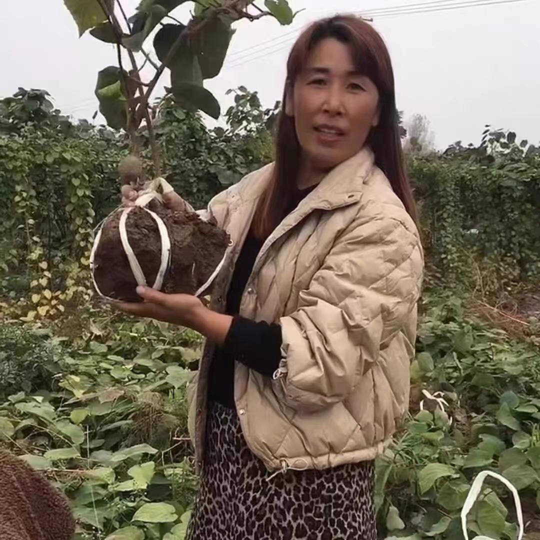 周至县猕竹苗木专业合作社