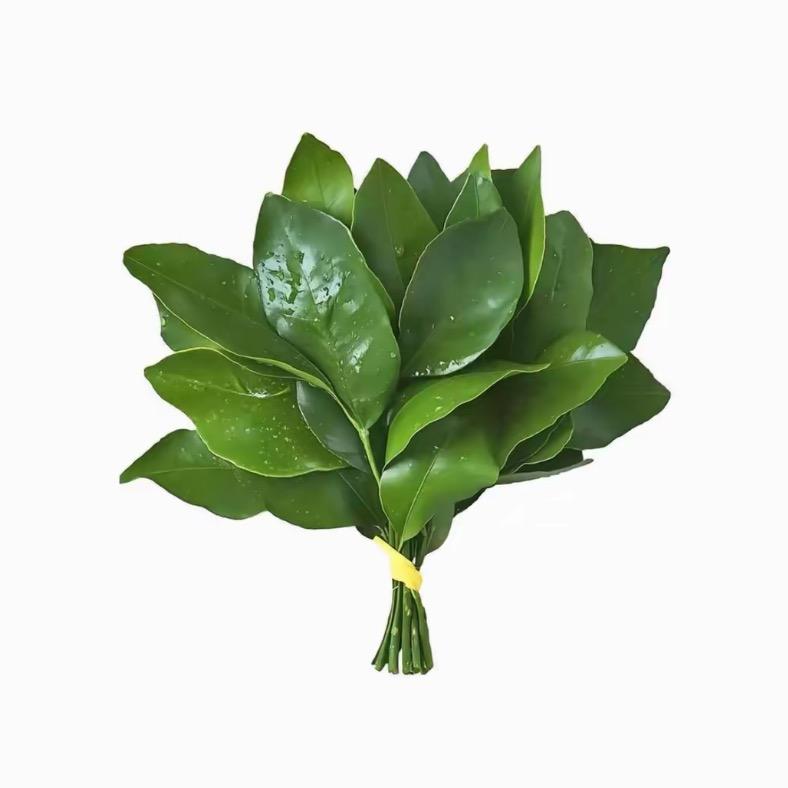 某某