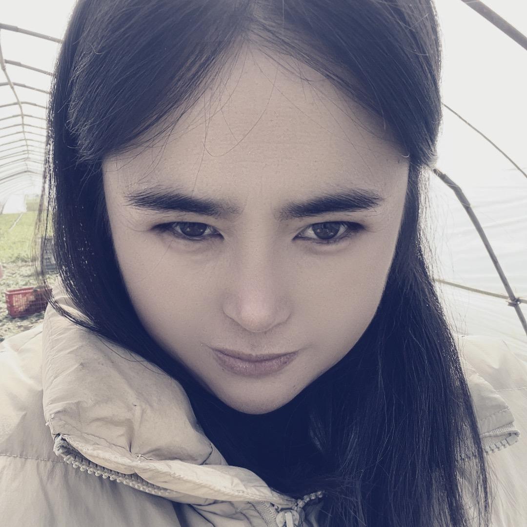 解宇菜业