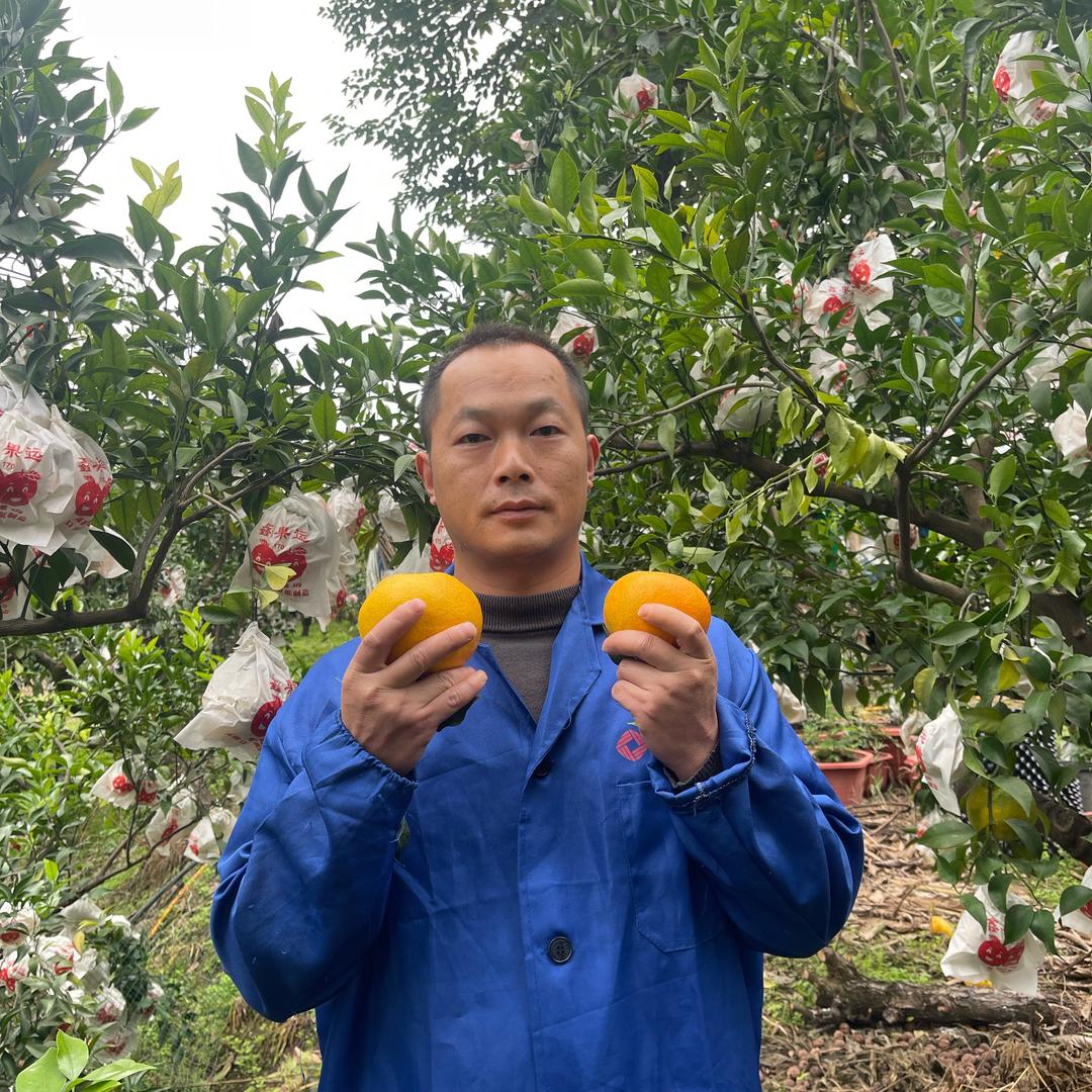 小文在农村