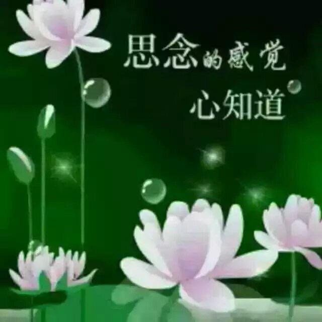 💕㞮💞孞💕