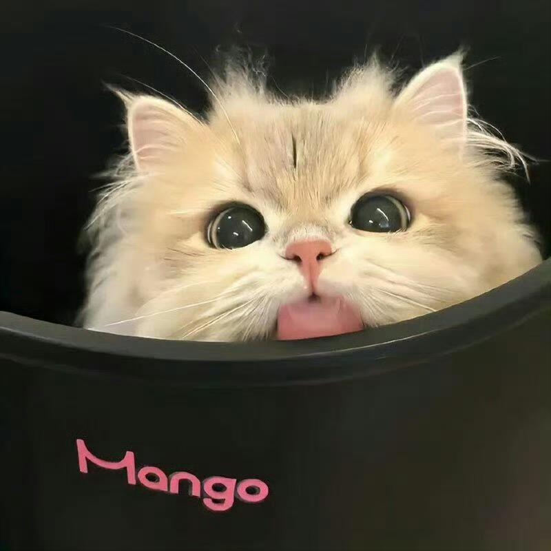 璇璇@@
