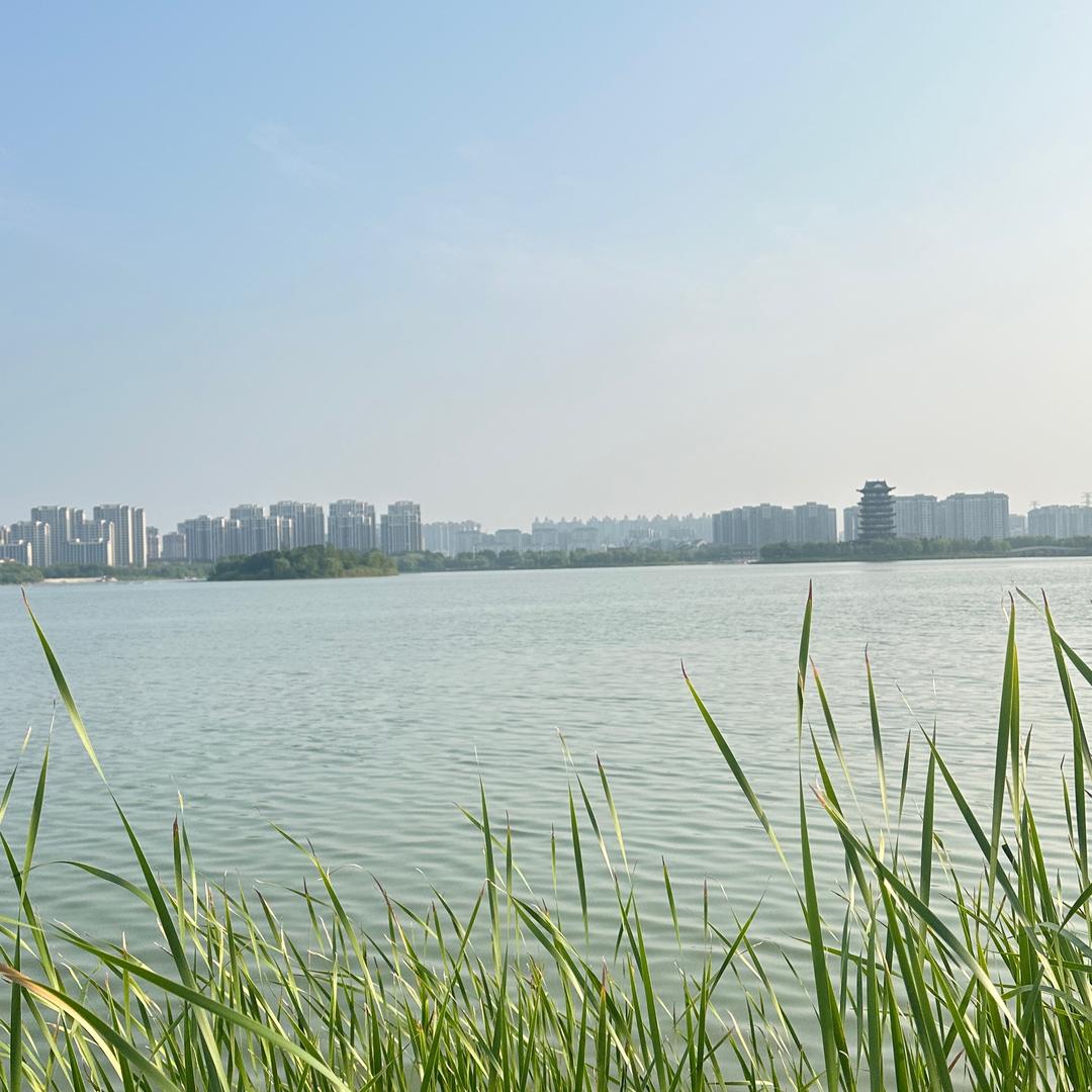惠一手鲜肉馄饨店