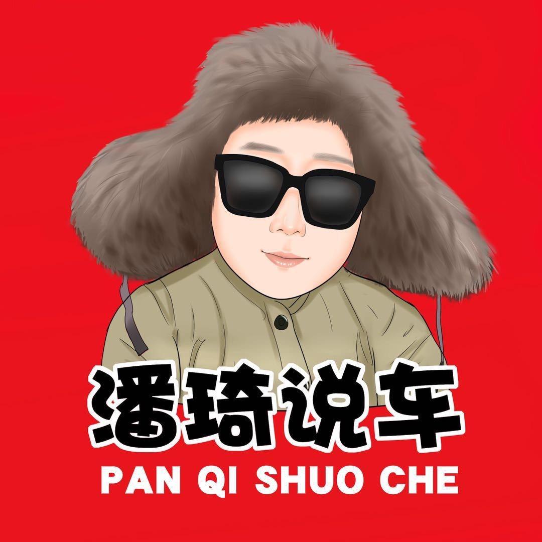 沈阳潘琦严选车