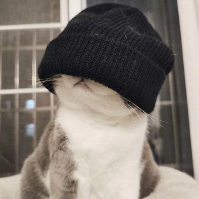 ℒℴѵℯ寒·彻ꦿ໊ོﻬ°