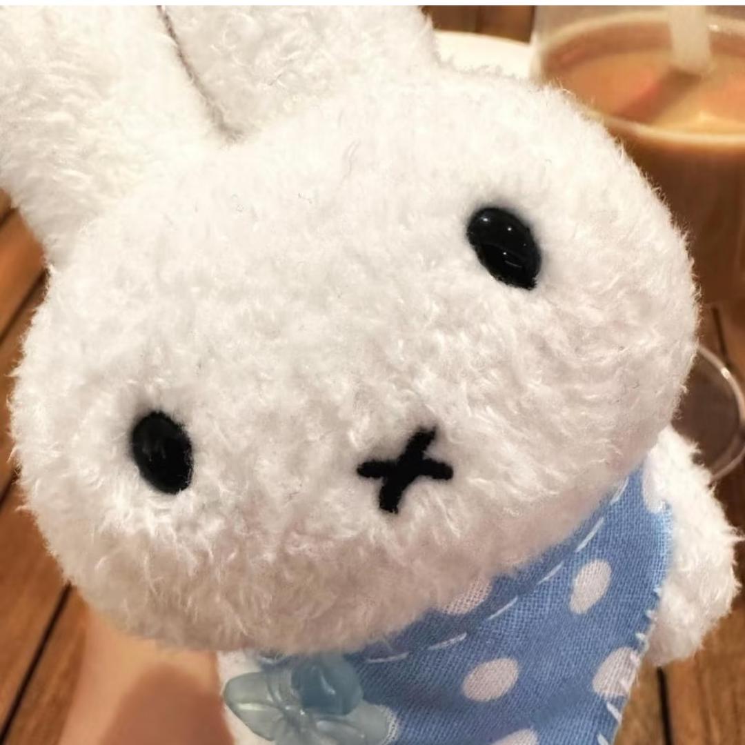 小Y℡