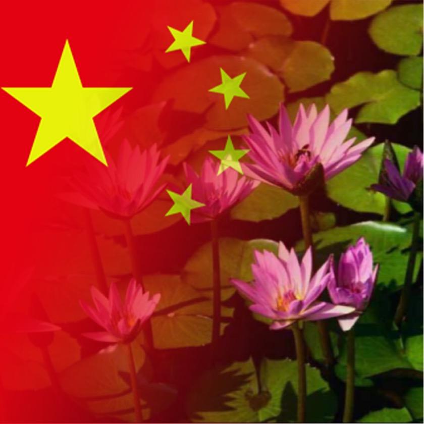 平淡是美（拒绝合拍）