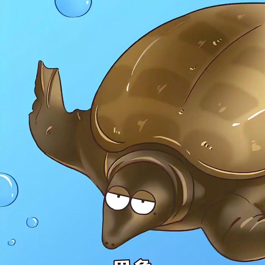 浙江北极淡水三店