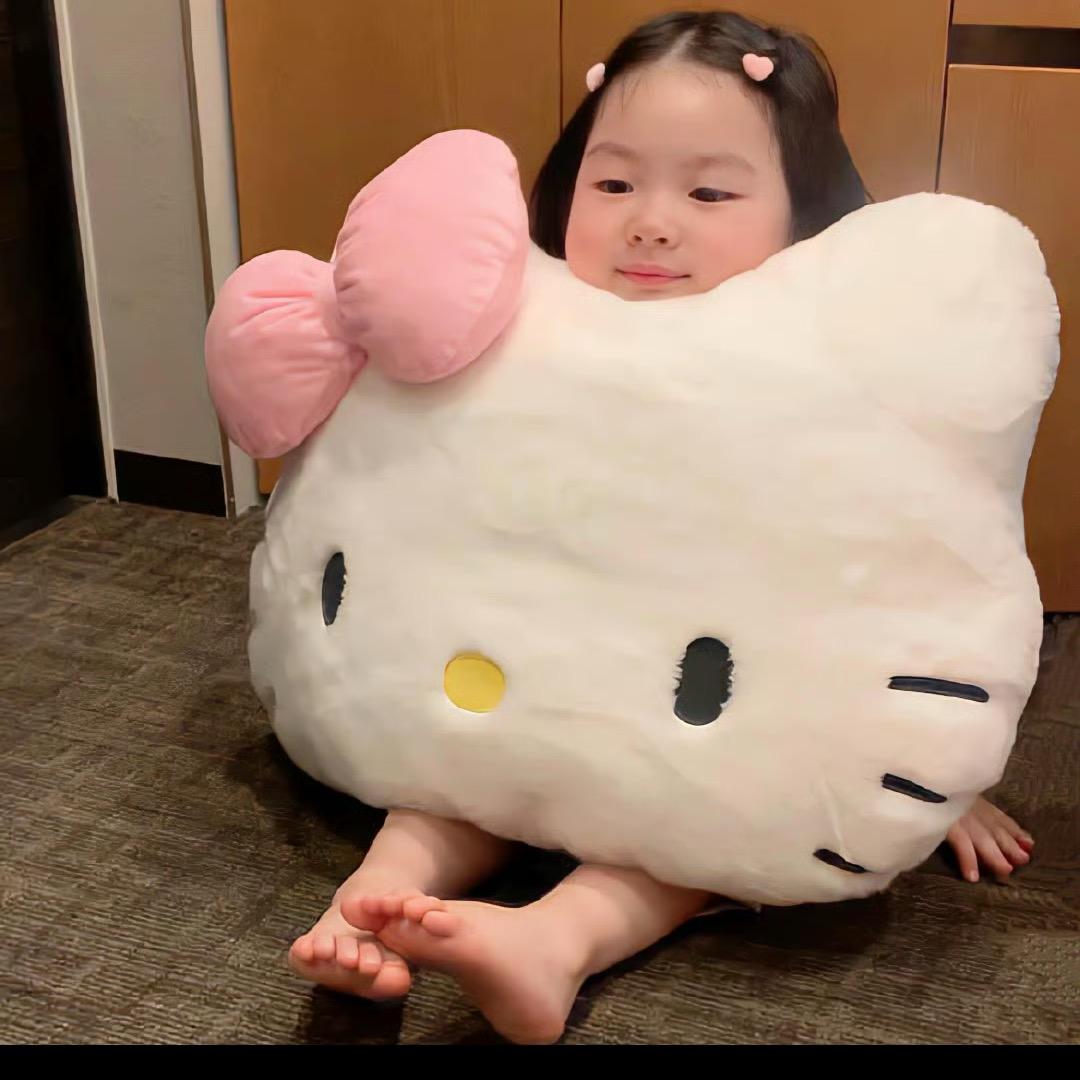 菜泥别丸（盘不服）
