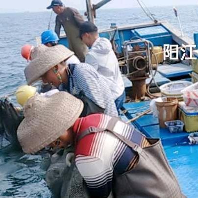 渔乐联盟