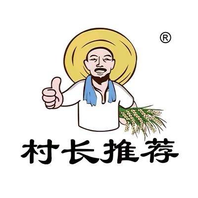 村长推荐食品旗舰店