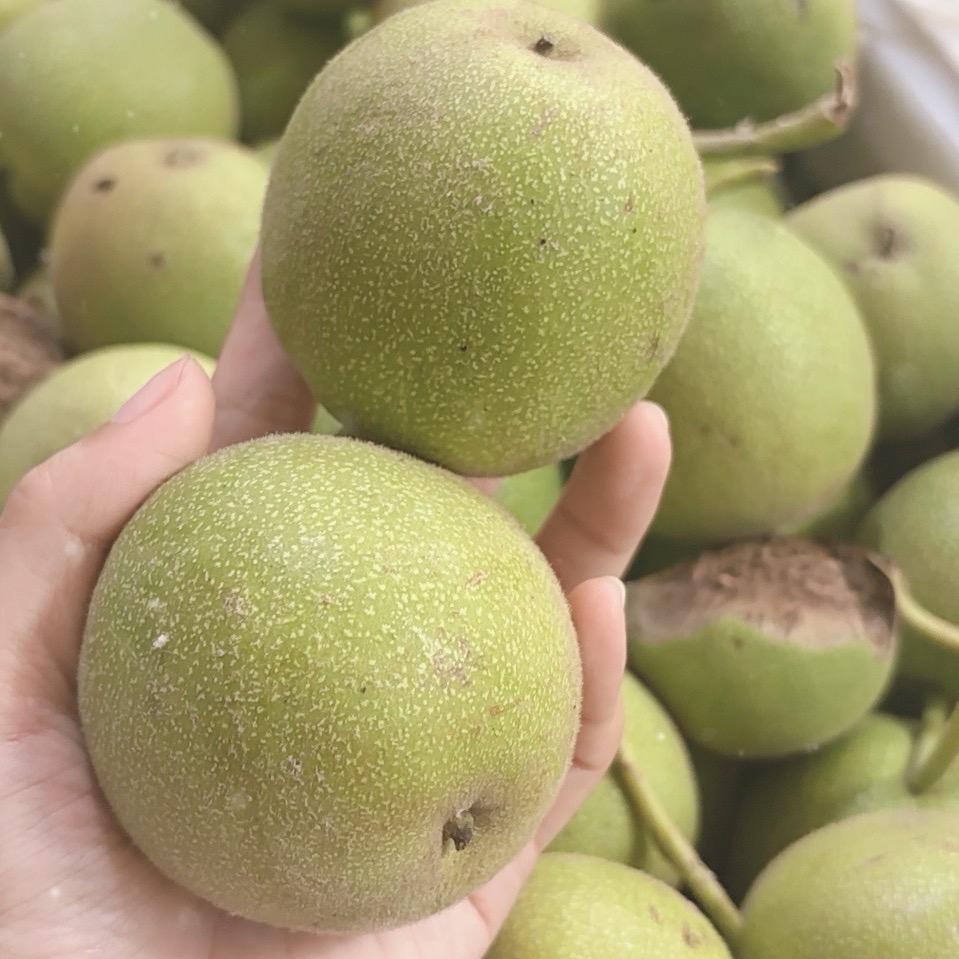 小点儿文玩.