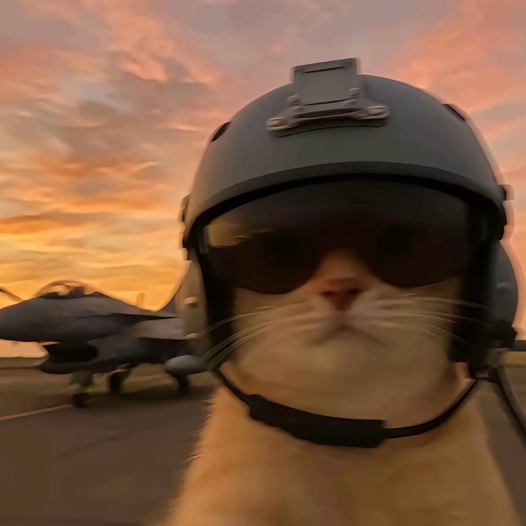 根本💤不够🌈