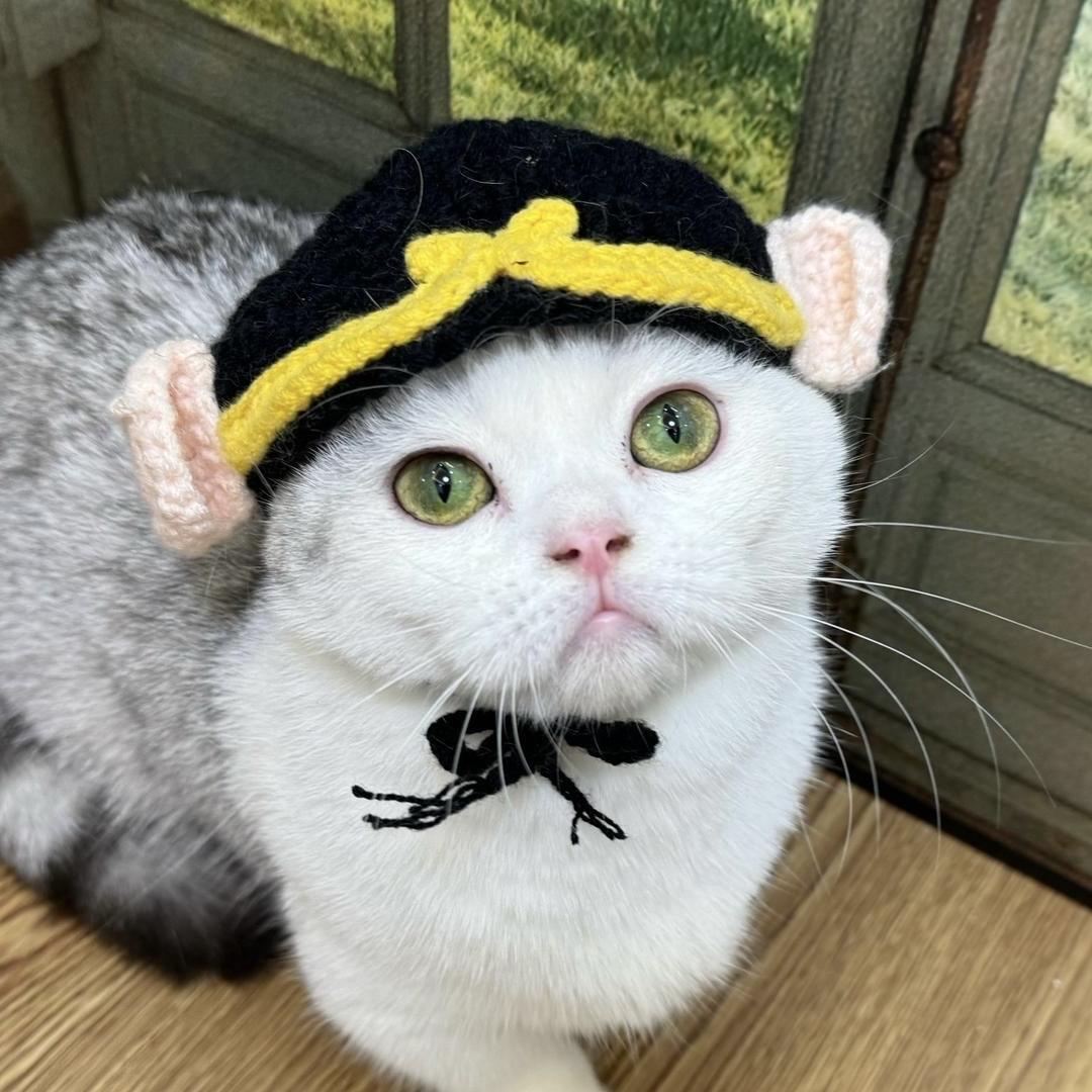 就要小豆豆