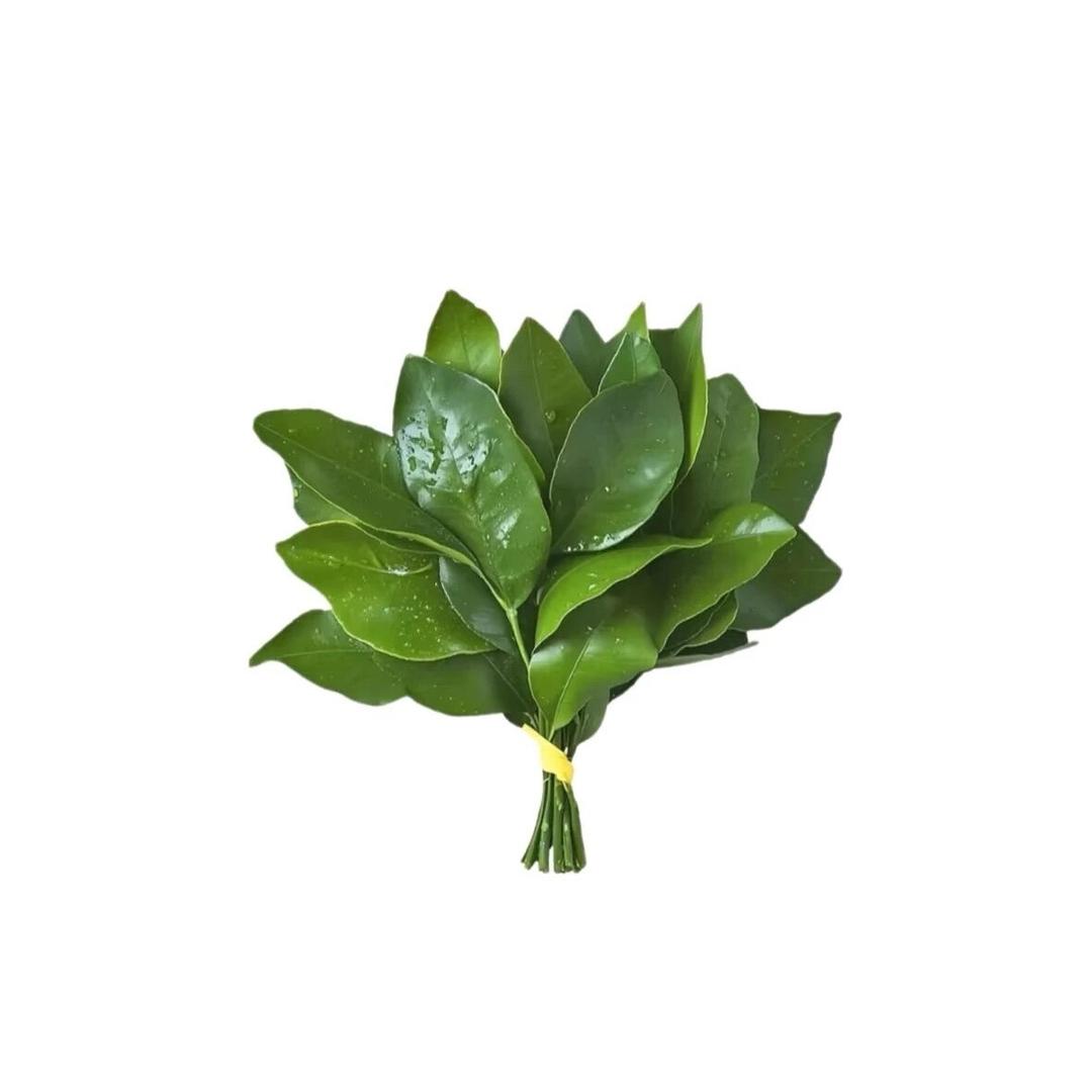 沉寂.