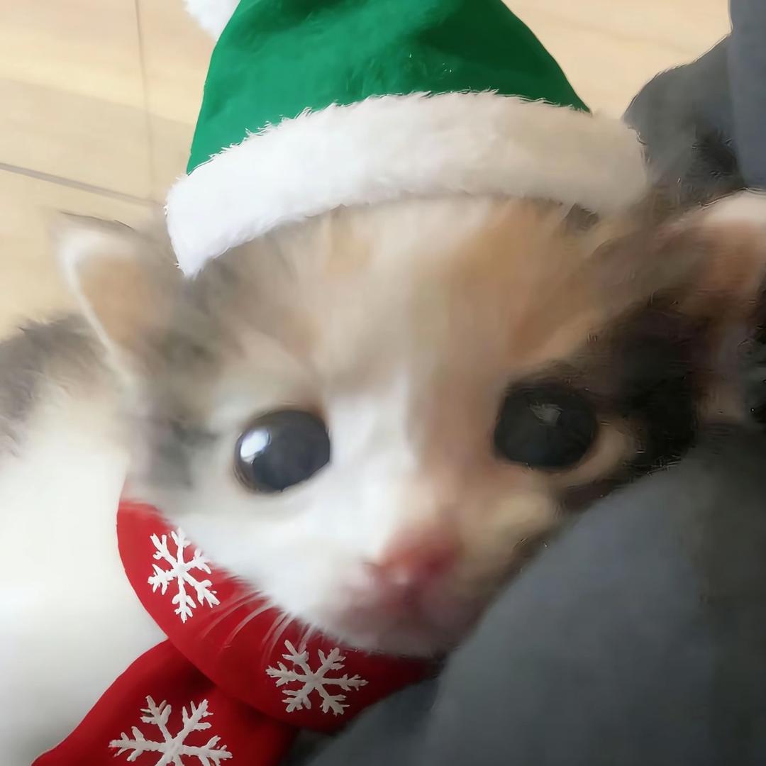 彦