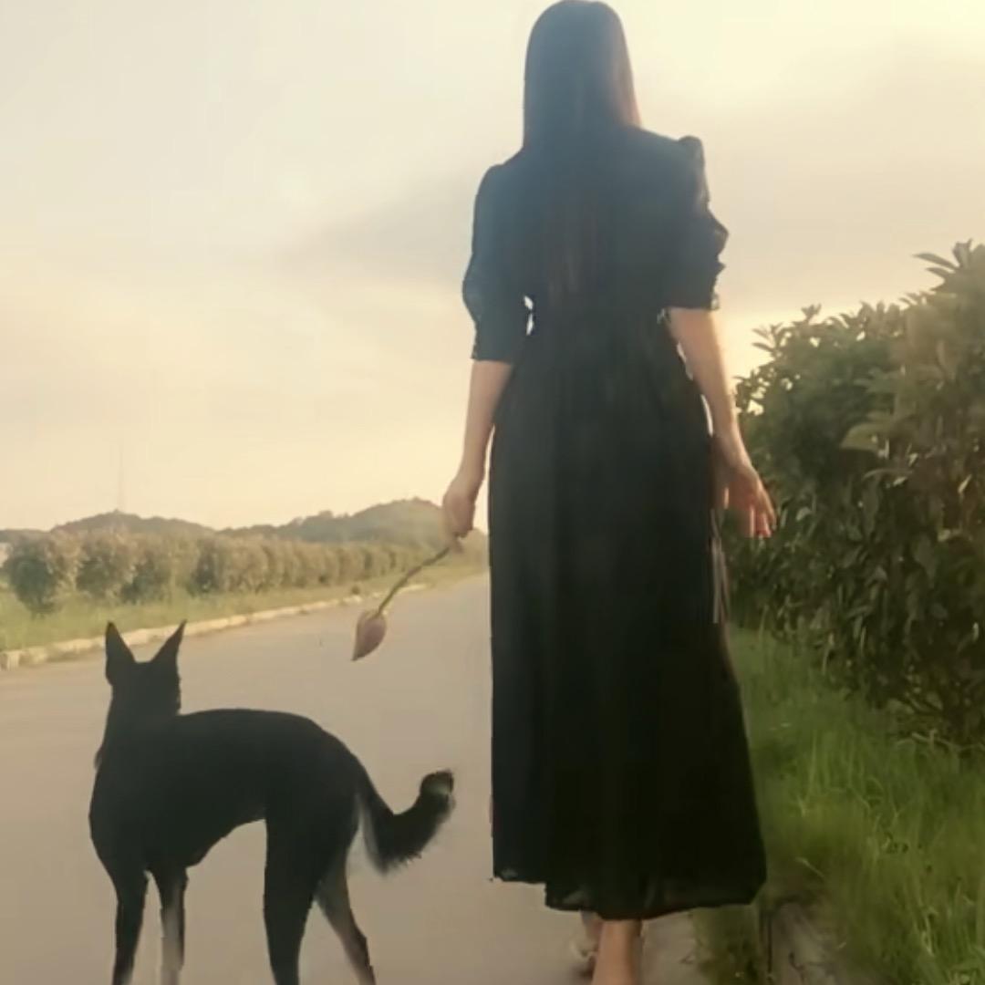 初岸
