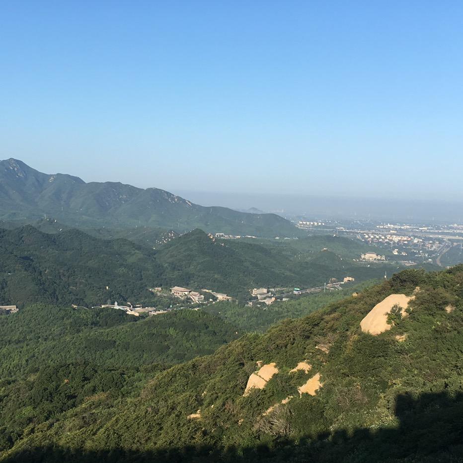 梅梅姐头像