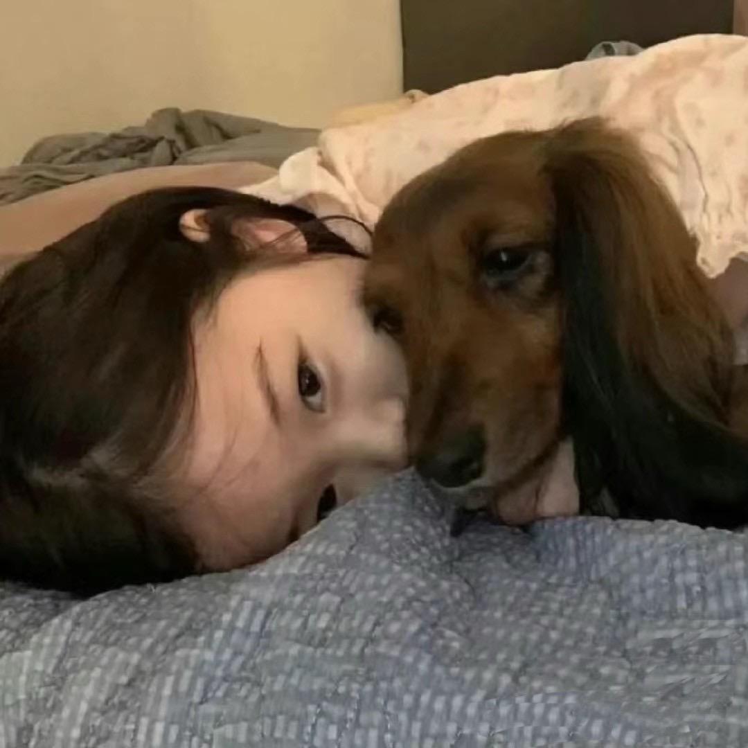 嘉^