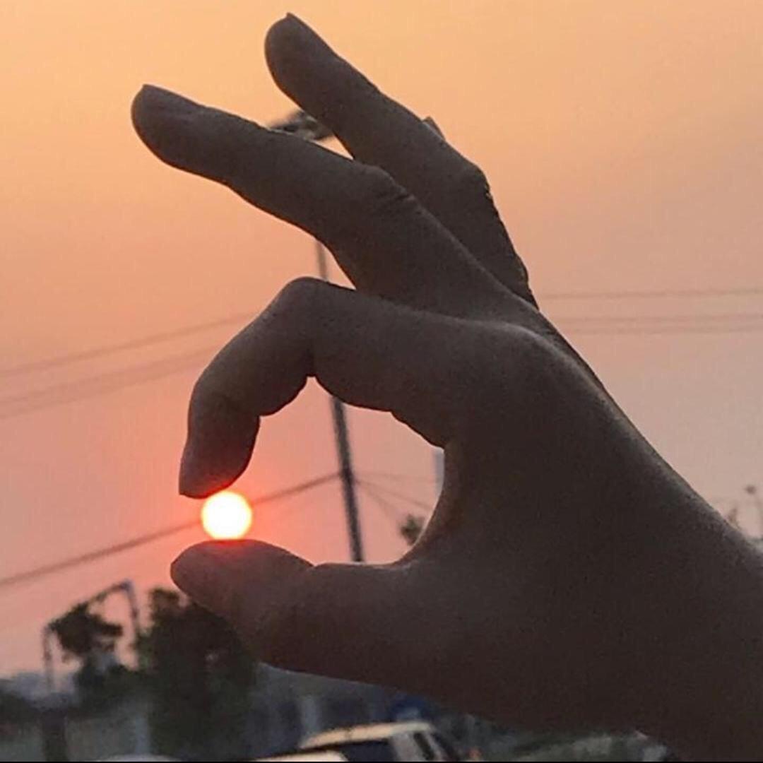 颠趴