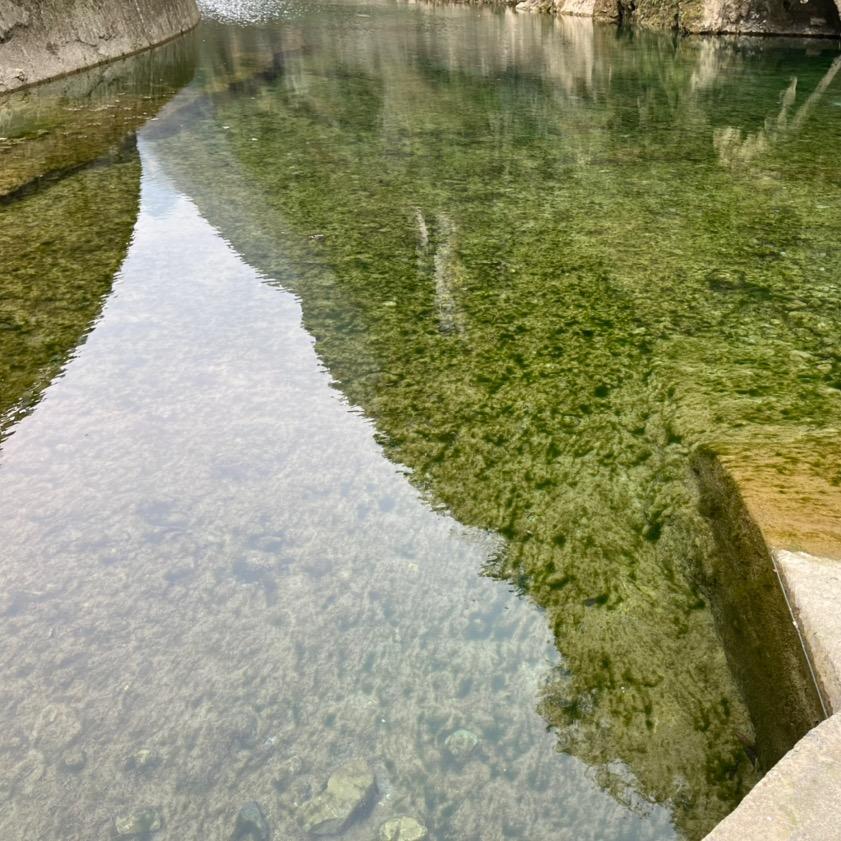 再见青春