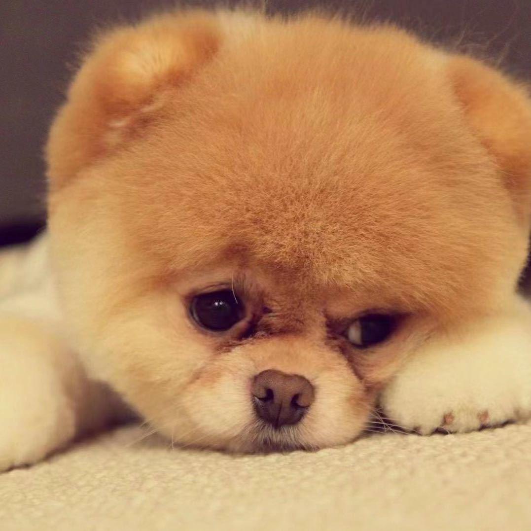 别拿青春赌人心